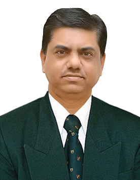 Prof. Manoj Patwardhan